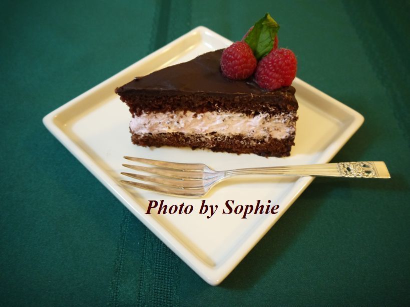 チョコレート ラズベリームースケーキのレシピ